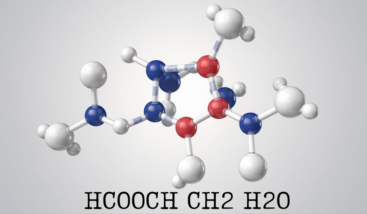 Understanding HCOOCH CH2 H2O: An Insight into Its Structure and Properties