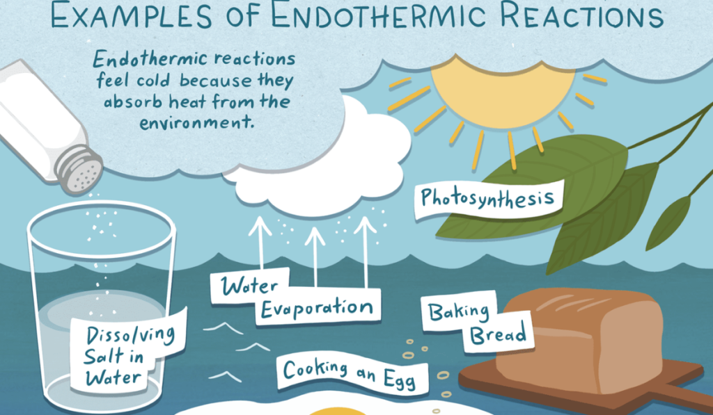 Endothermic-Reactions-2-1024x597 In-Depth Guide to Endothermic Reactions and Their Real-Life Applications