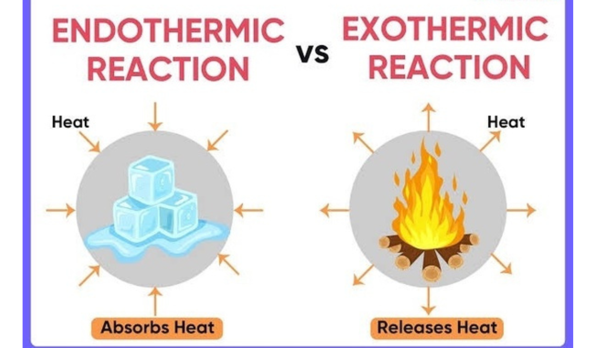 Endothermic Reactions