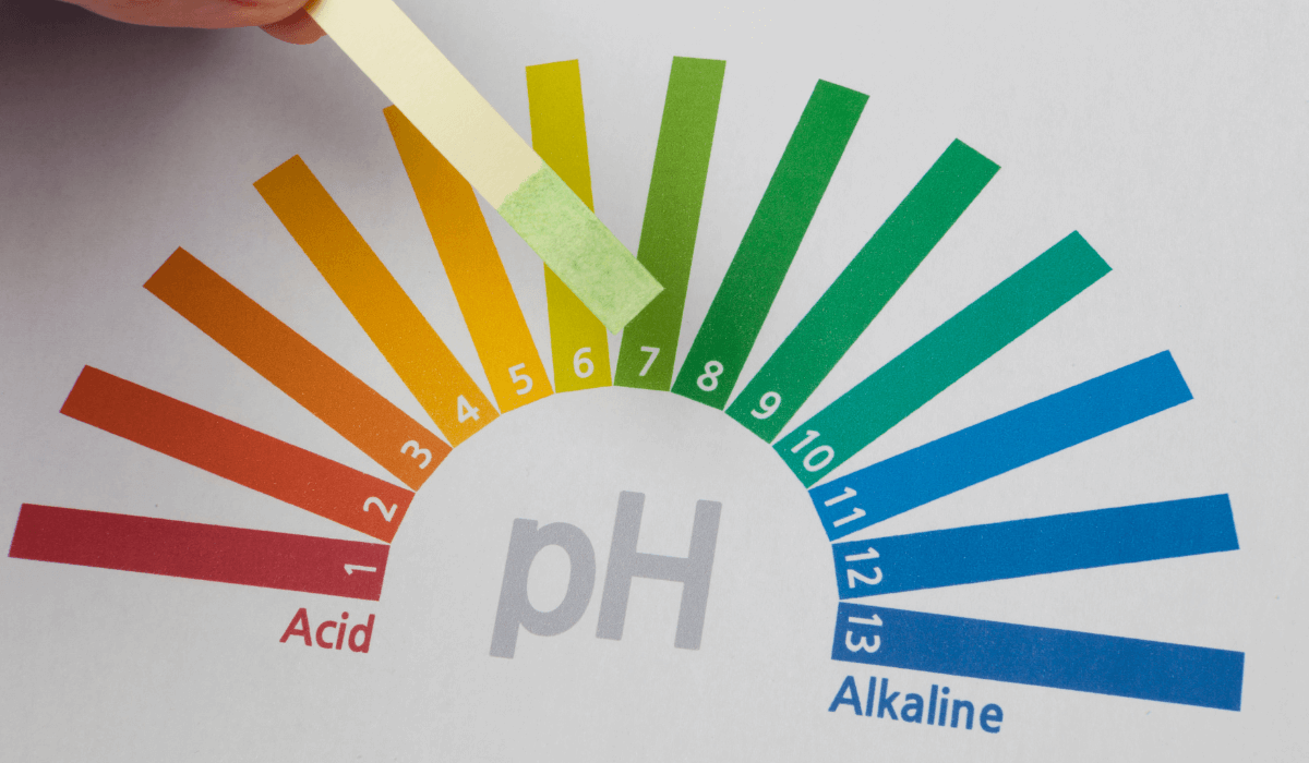 pH of Distilled Water