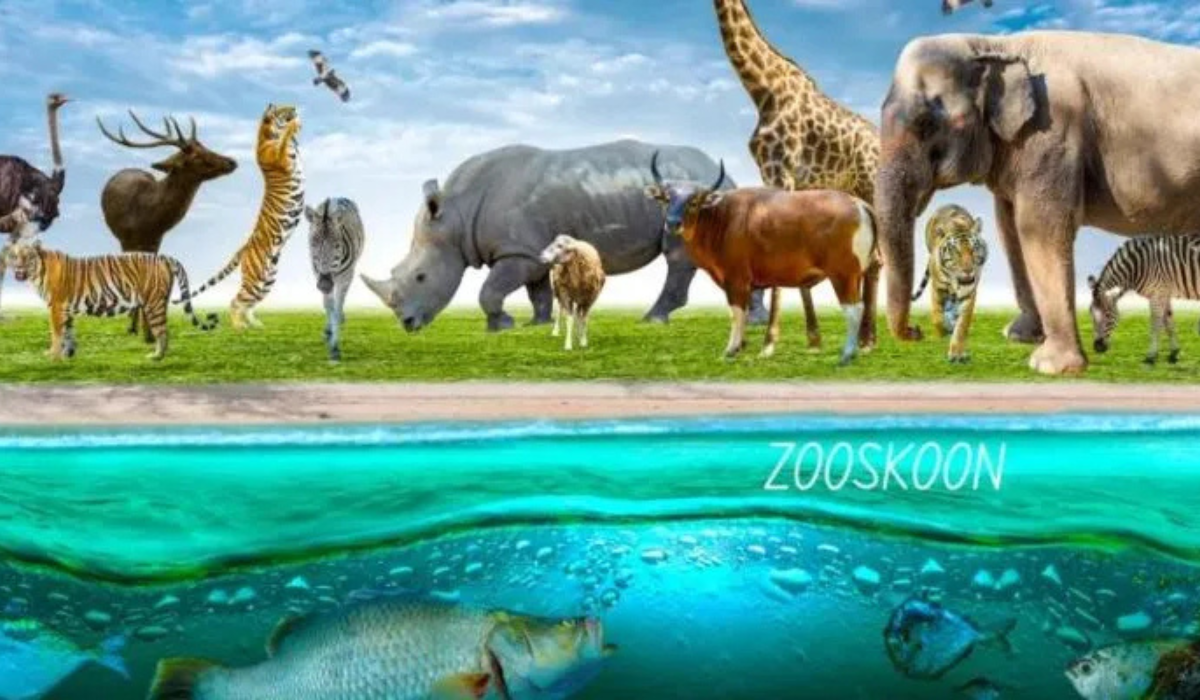 Zooskooñ